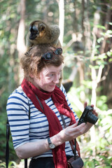 Tourist with a Common Brown Lemur (Eulemur fulvus) on Lemur Island, Andasibe, Eastern Madagascar