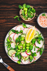 Fresh spring salad plate with radish, cucumber, green pea, sunflower, soy and mung bean sprouts, edamame and flax seeds. Vegetarian vegan healthy food. Top view, wooden kitchen table