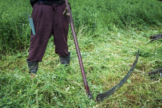 Man cutting grass with a sythe, Maramures, Romania