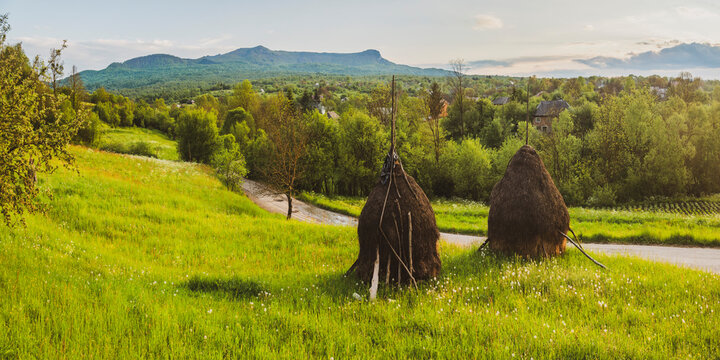 Traditional Romanian haystacks in the countryside around Breb (Brebre), Maramures, Romania