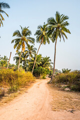 Fototapeta premium Talpona Beach, South Goa, India