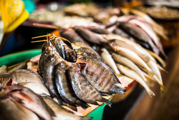 Fish for sale in Mapusa Market, Goa, India