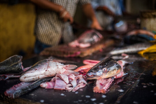 Fish for sale in Mapusa Market, Goa, India