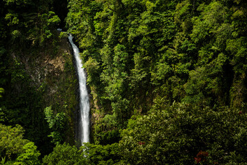 La Fortuna Waterfall, Alajuela Province, Costa Rica, Central America - obrazy, fototapety, plakaty