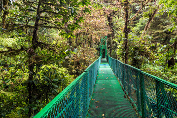 Obraz premium Monteverde Cloud Forest Reserve, seen from Selvatura Treetop hanging bridges, Costa Rica, Central America