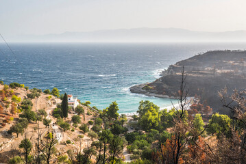Fototapeta na wymiar Wild fire damage, Spetses, Saronic Islands, Attica Region, Aegean Coast, Greece, Europe