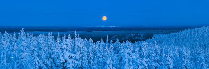 Super moon (full moon) landscape of snow covered trees, forest and remote winter wilderness in Lapland, Pallas-Yll&auml;stunturi National Park, Finland, Arctic Circle, Europe