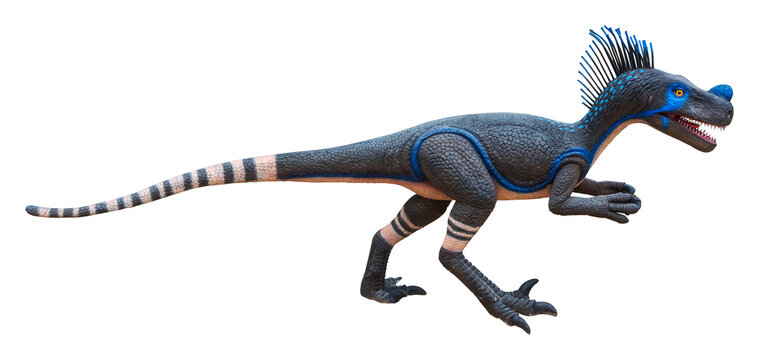 Fototapeta Ornitholestes is a small theropod dinosaur of the Late Jurassic, Ornitholestes isolated on white background with clipping path