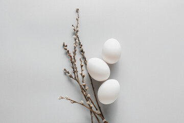Easter eggs and pussy willow branches on light background © Pixel-Shot