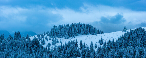 Winter landscape near Bran in the Carpathian Mountains, Transylvania, Romania - obrazy, fototapety, plakaty