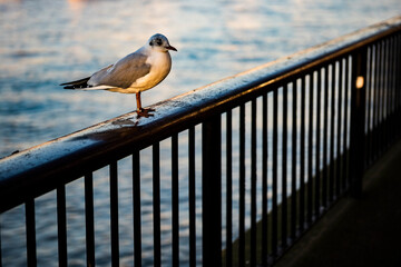 South Bank, London, England