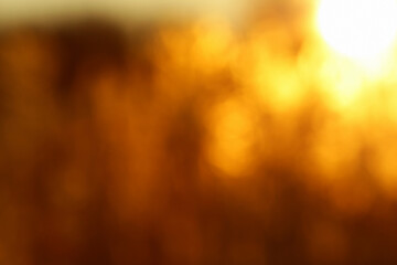 Abstract blurred golden sunset background with bokeh effect