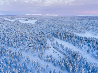 Aerial photo of a snow covered winter forest full of trees at sunset in the Arctic Circle in...
