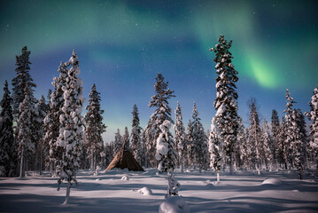 Northern Lights (aurora borealis) above a tent teepee kota in the forest in winter in Finnish Lapland, inside Arctic Circle in Finland © Matthew