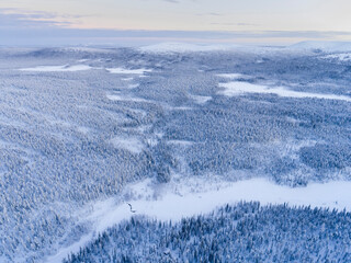 Aerial of frozen river and snow covered forest winter landscape showing amazing Lapland scenery in Scandinavia in Finland drone