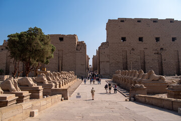 Avenue of the ram-headed Sphinxes and main pilon. Karnak Temple. Luxor, Egypt
