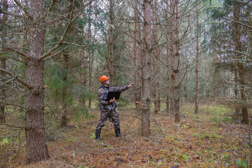 Obraz premium Forest engineer works in the forest with a computer. An ecologist controls the development of a young forest.