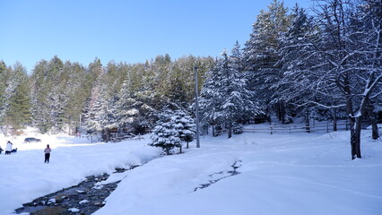 After snowy day, first light