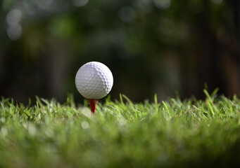 golf ball on tee dark green background
