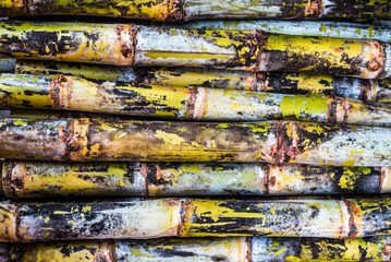 Wet Market in Chun Yeung Street, Hong Kong Island, Hong Kong, China