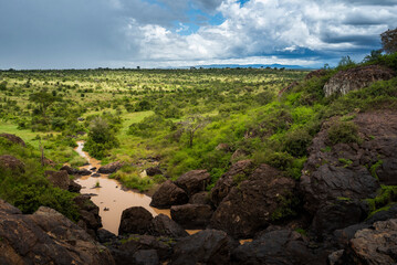 Fototapeta na wymiar El Karama Ranch, Laikipia County, Kenya
