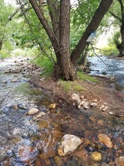 Old Stone Tower and Trees Along Mountain Stream in Colorado Forest