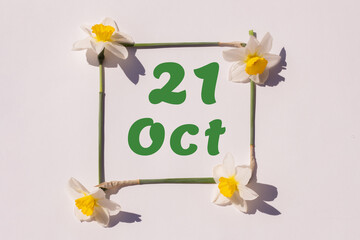 October 21th. Day of 21 month, calendar date. Frame from flowers of a narcissus on a light background, pattern. View from above. Summer month, day of the year concept