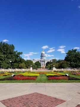 Denver Capital from Field of Flowers
