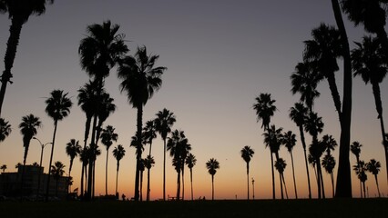 Orange and purple sky, silhouettes of palm trees on beach at sunset, California coast, USA....