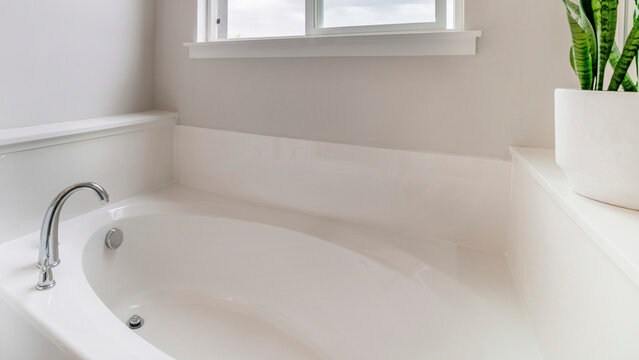 Panorama White Bathroom Interior With Potted Snake Plants And Sliding Window