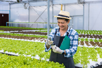 Happy Asian local farmer testing ph level of the water in the green oak salad lettuce greenhouse...