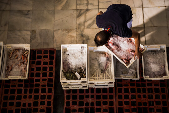 Fish market, Andalucia, Almeria, Spain, Europe