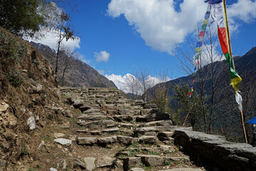 Naklejka premium Rocky trail steps among natural landscape of green forest park