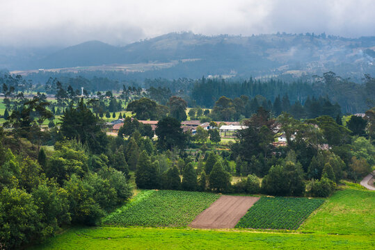 Hacienda Zuleta, Imbabura, Ecuador, South America