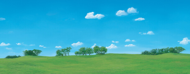 Fototapeta na wymiar Green lawn with big trees and white cloud blue sky 