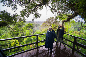 Bird watching in a 43m Kapok Tree tower viewing platform at Sacha Lodge, Coca, Amazon Rainforest, Ecuador, South America