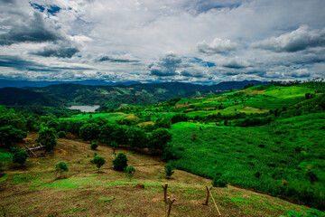 The close-up natural background of green rice fields, behind a large mountain and mist flowing...