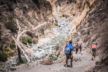 Colca Canyon 2 day trek, Peru, South America