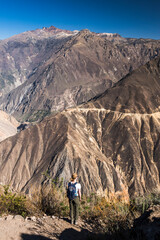 Summit of Colca Canyon, Peru, South America