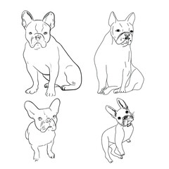 Set of french bulldogs, bulldogs line art.