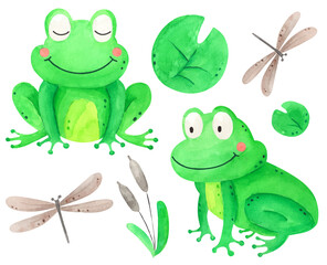 Watercolor frogs set.