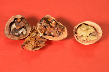 Closeup on opened walnuts attached by mould fungus, causing a high content of Aflatoxn. To the right an unaffected walnut as reference.