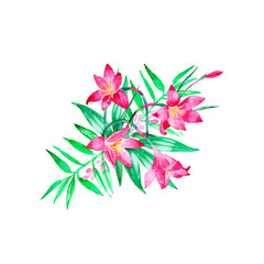 Fototapeta na wymiar Exotic tropical floral bouquets flowers watercolor design set.