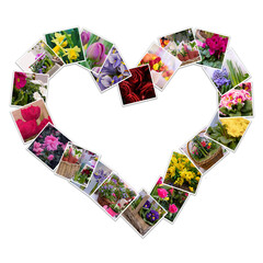 Spring collage of photos of bouquets of primroses and text I LOVE YOU