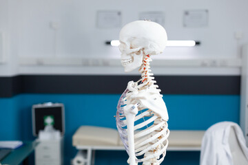 Slide view of human body skeleton standing in empty clinical office used as professional instrument...