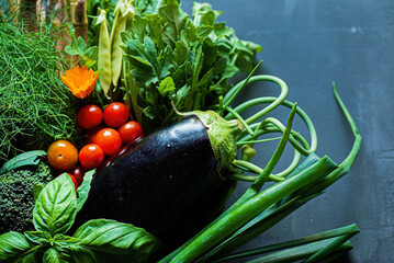 fresh vegetables on the dark background