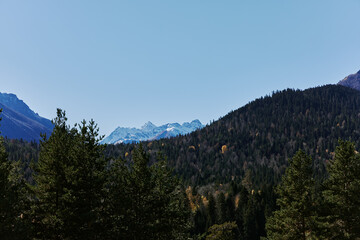 Obraz premium mountain forest beautiful view of nature travel park peak