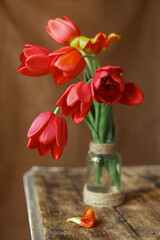 Composition of beautiful daffodils planted in a flower pot on a blue background. Fresh natural yellow daffodils in ceramic pot on white table near empty wall 