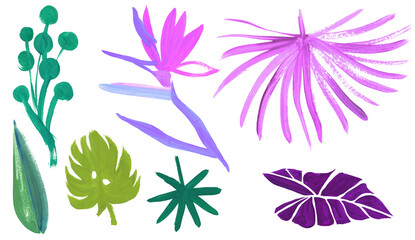 A set of stylized tropical leaves in pink shades and a flower of the Royal Strelitzia painted in gouache isolated on a white background for textile and design