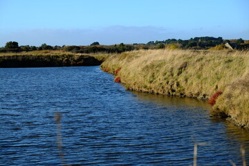 The salt marshes in December 2021. Guérande, France.